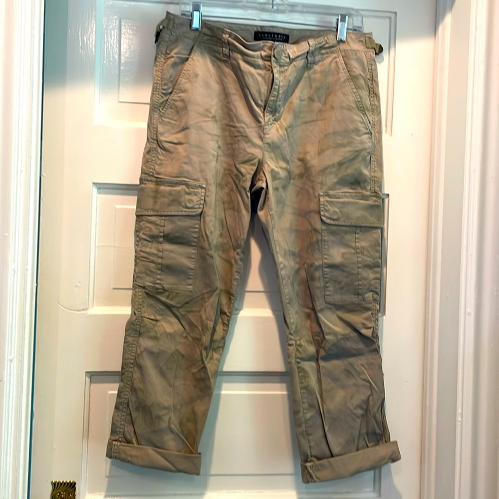 Sanctuary cargo pants
